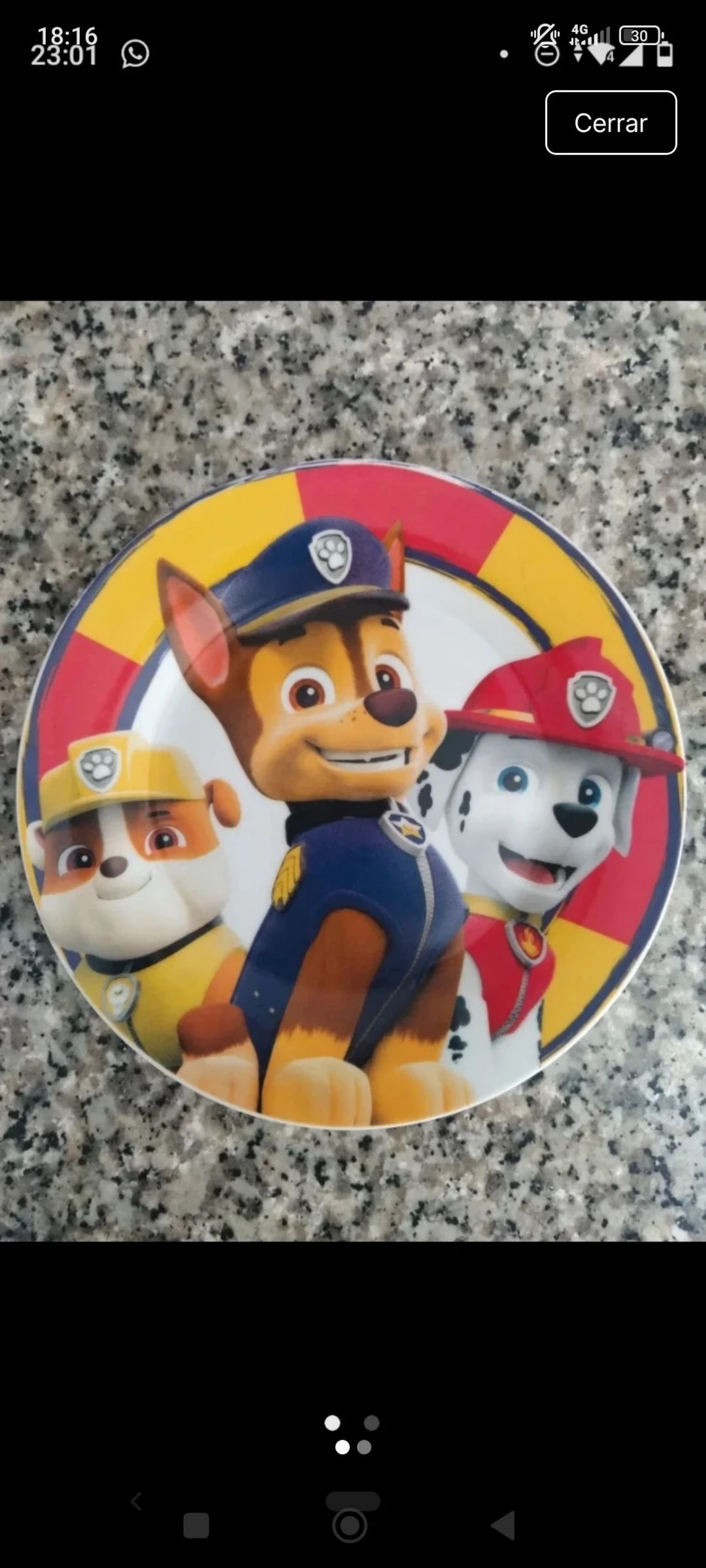 Plato de loza Paw Patrol